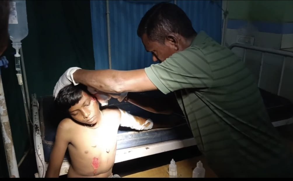 కుక్కను తప్పించబోయి బోల్తాపడ్డ స్కూల్‌ ఆటో