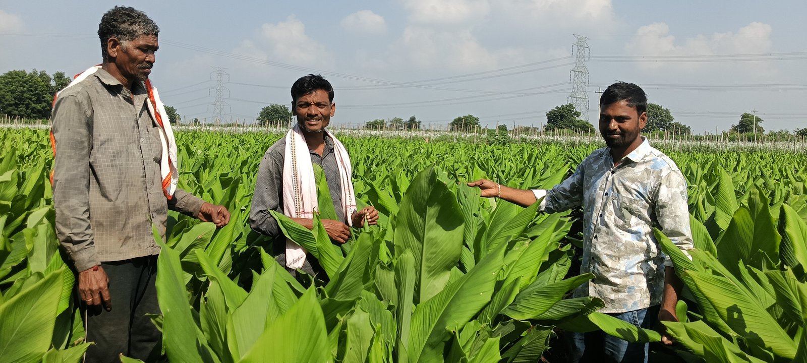 పూలు,ఆకుకూరల సాగుతో అధిక ఆదాయం పొందవచ్చు* 