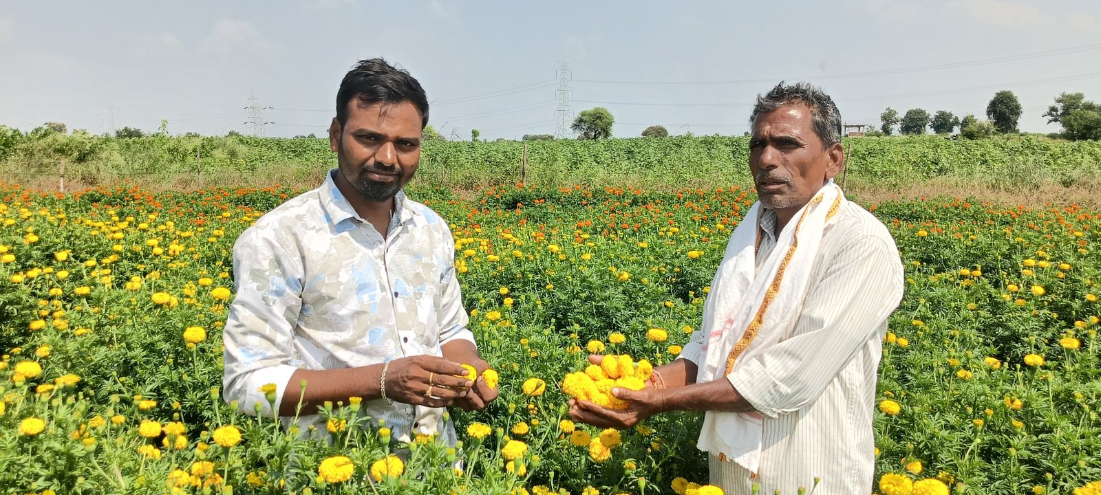పూలు,ఆకుకూరల సాగుతో అధిక ఆదాయం పొందవచ్చు*  - Additional Image