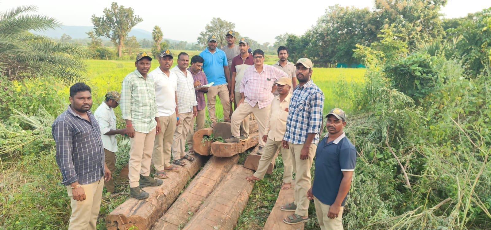 రూ.3.04 లక్షల కలప స్వాధీనం